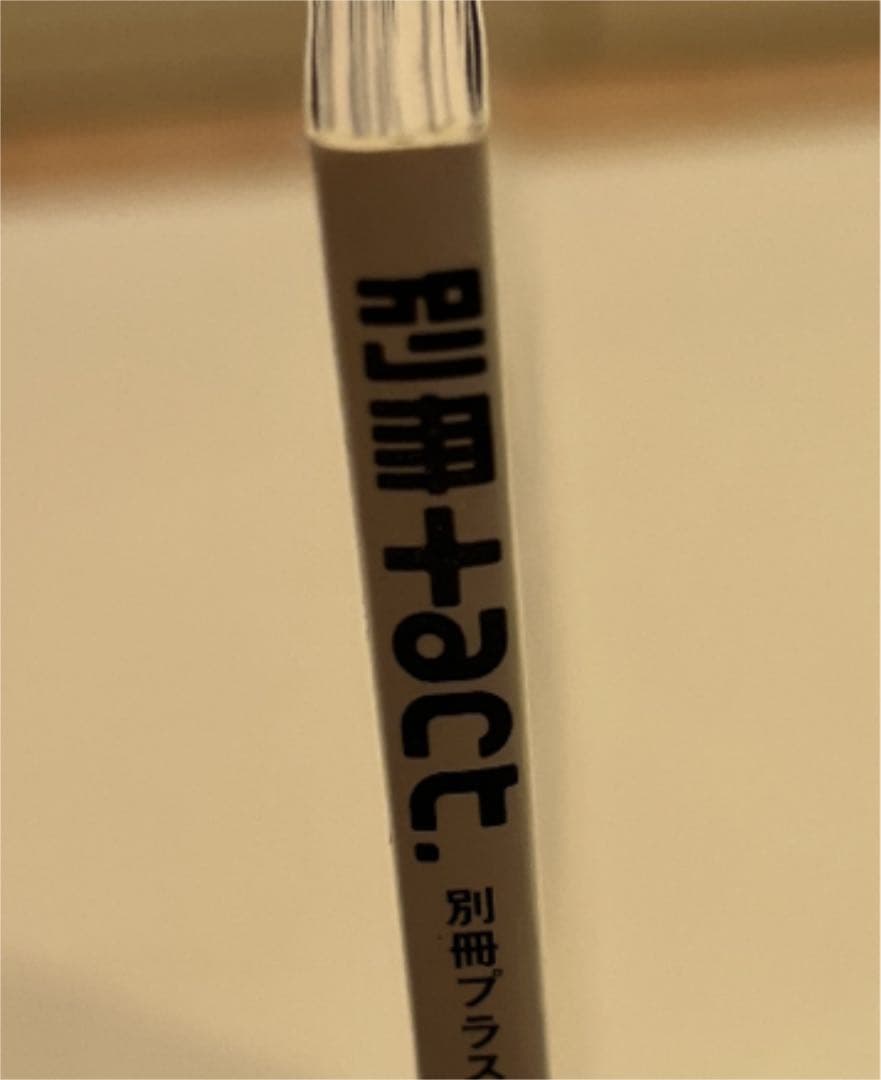 別冊+act. Vol.13 プラスアクト 小栗旬 三浦春馬